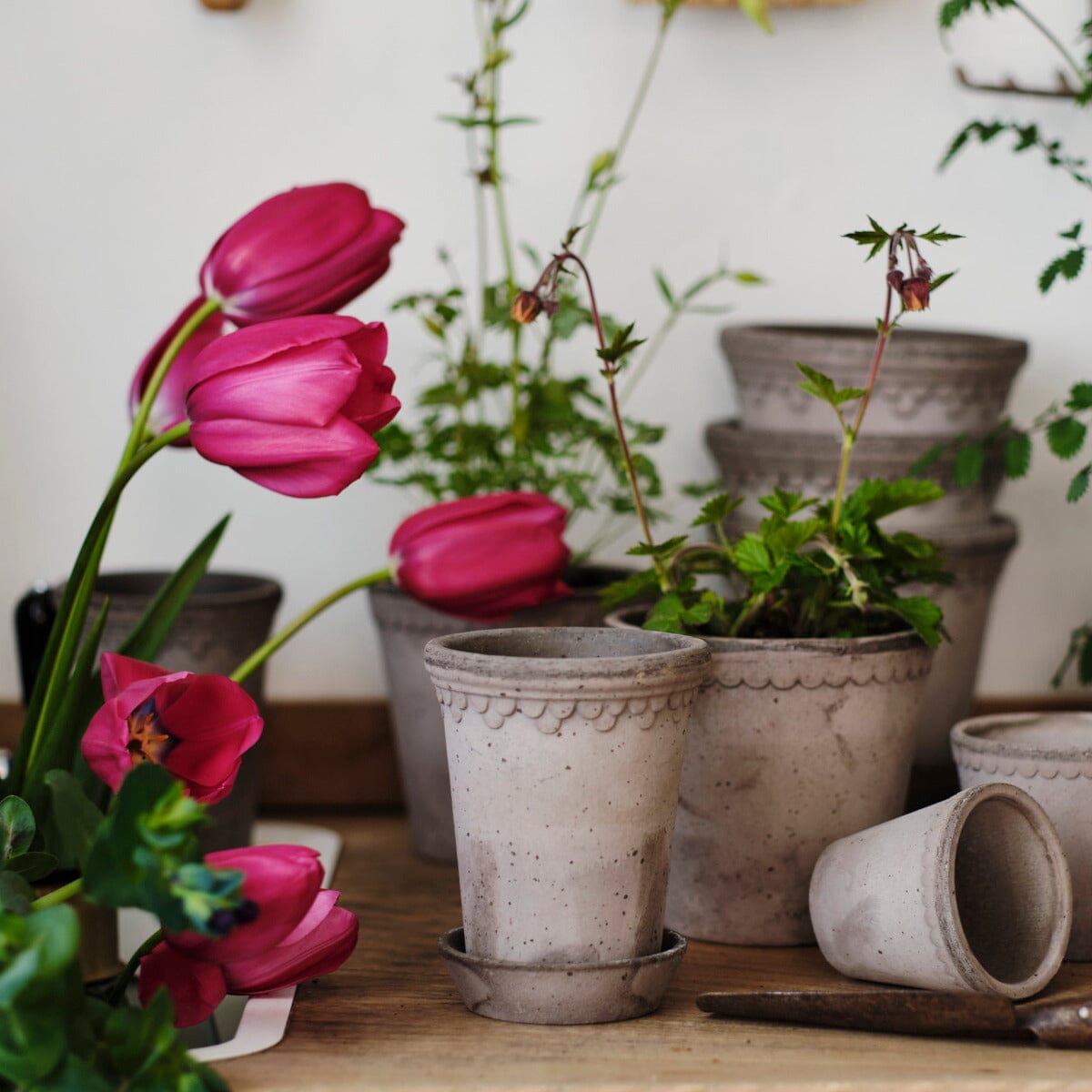 Helena Tall Grey inc Saucer Pots - Berg Berg