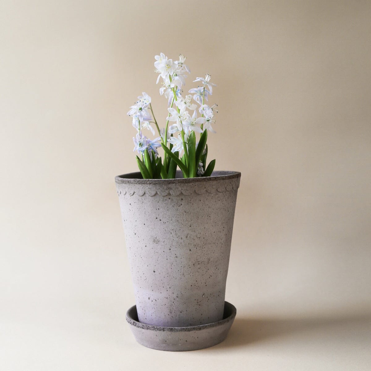 Helena Tall Grey inc Saucer Pots - Berg Berg