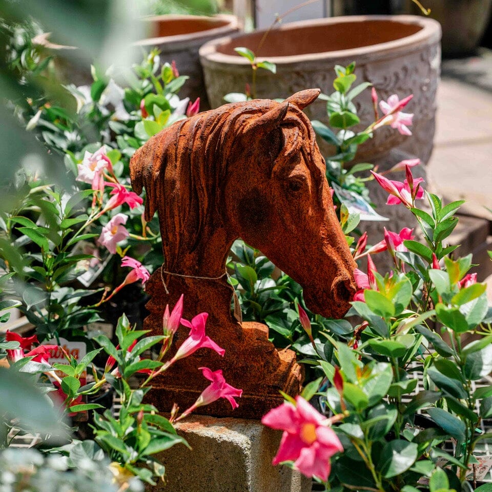 Horse Head Cast Iron Garden Art Brookfield Gardens