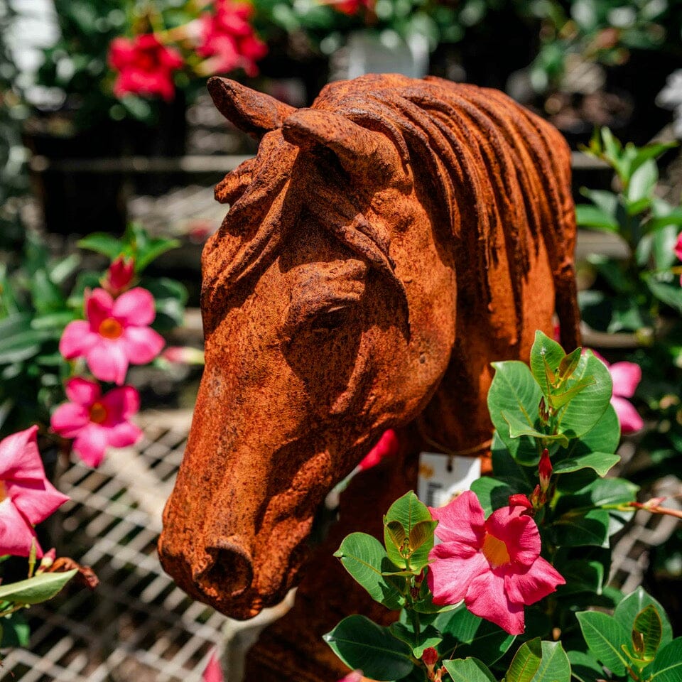 Horse Head Cast Iron Garden Art Brookfield Gardens