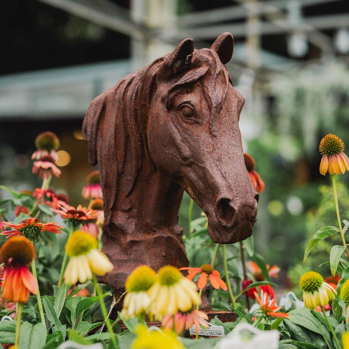 Horse Head Cast Iron Garden Art Brookfield Gardens