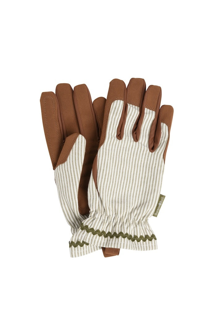 Collectors Glove Olive Stripe