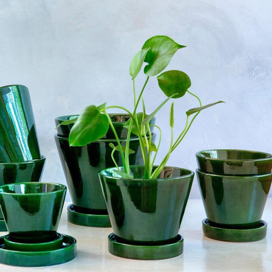 Julie Green inc Saucer Pots - Berg Berg