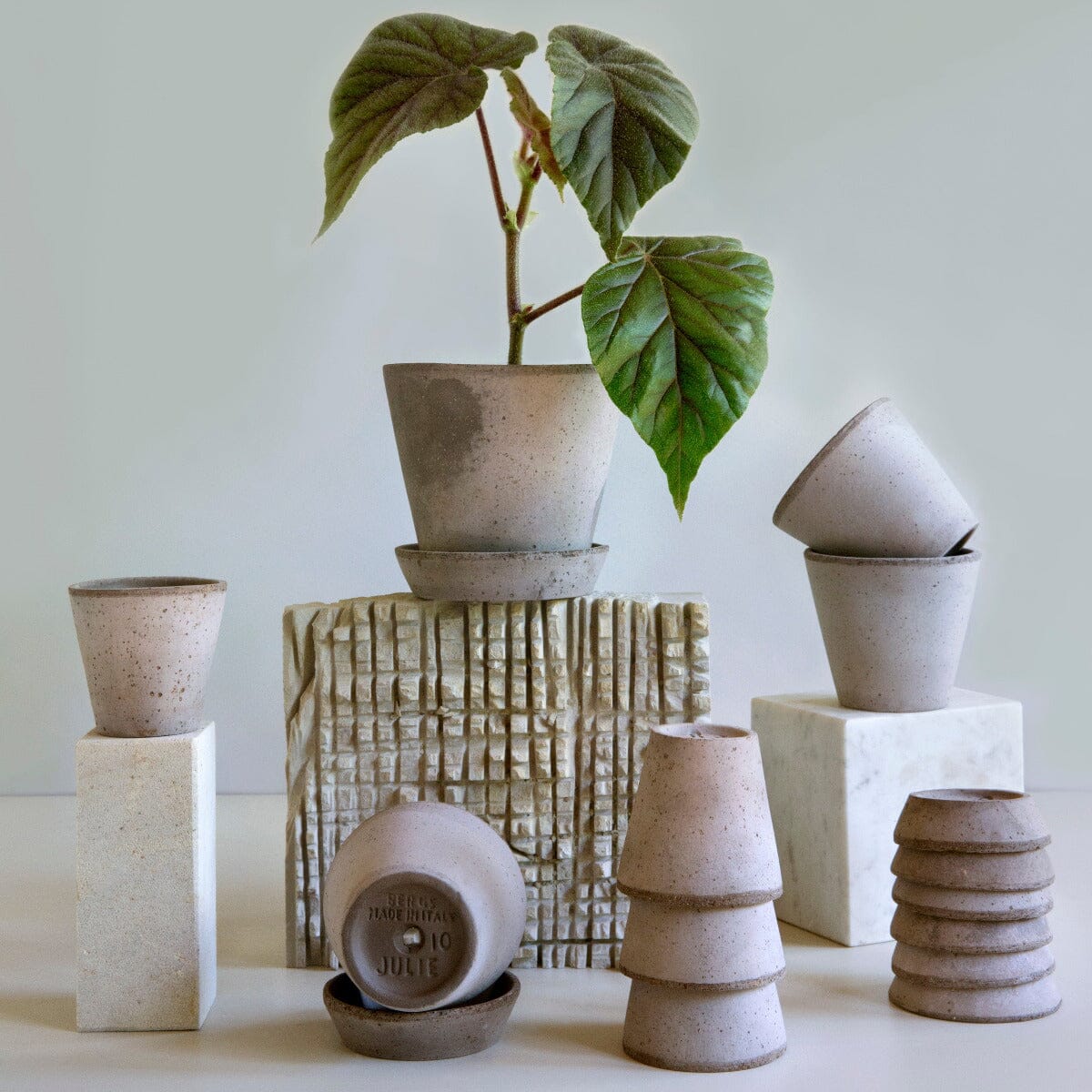 Julie Grey inc Saucer Pots - Berg Berg