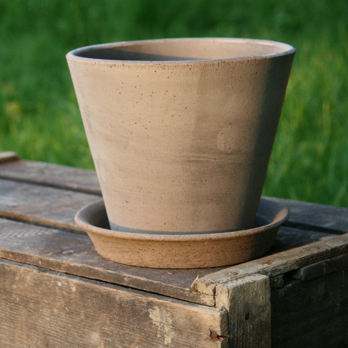 Julie Grey inc Saucer Pots - Berg Berg