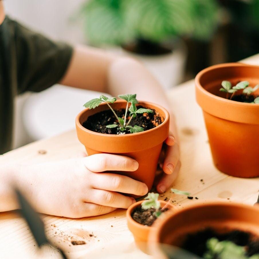 Kids Holiday Workshop Workshop Brookfield Gardens