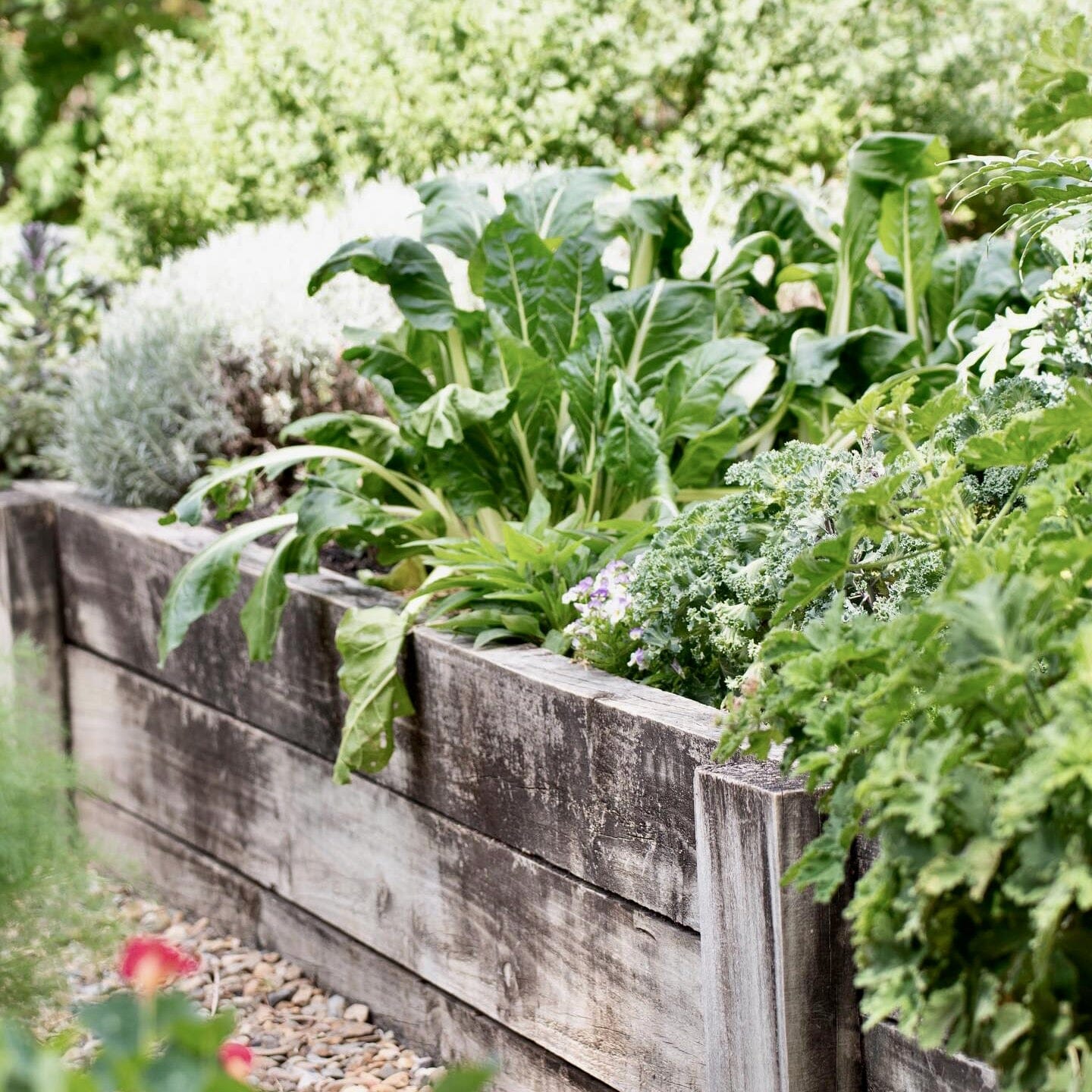 Kitchen Garden Talk with Ann-Marie Workshop Brookfield Gardens