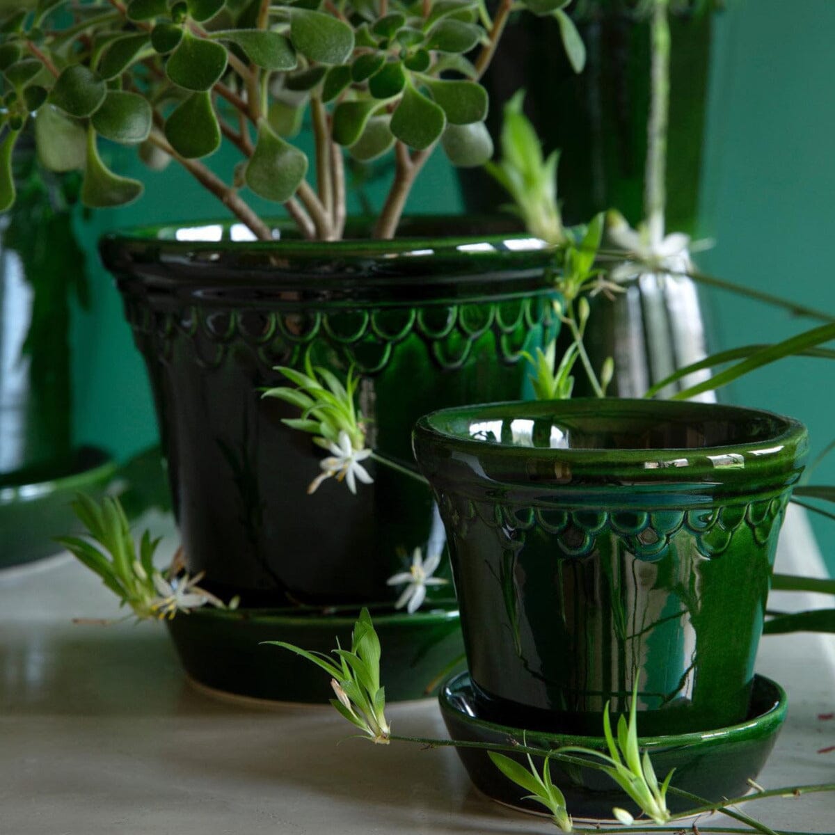 Kobenhavner Green inc saucer Pots - Berg Berg