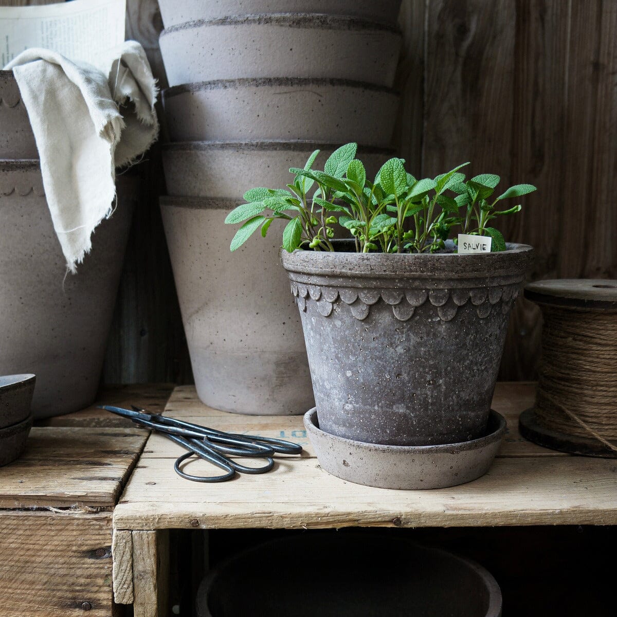 Kobenhavner Grey inc saucer Pots - Berg Berg