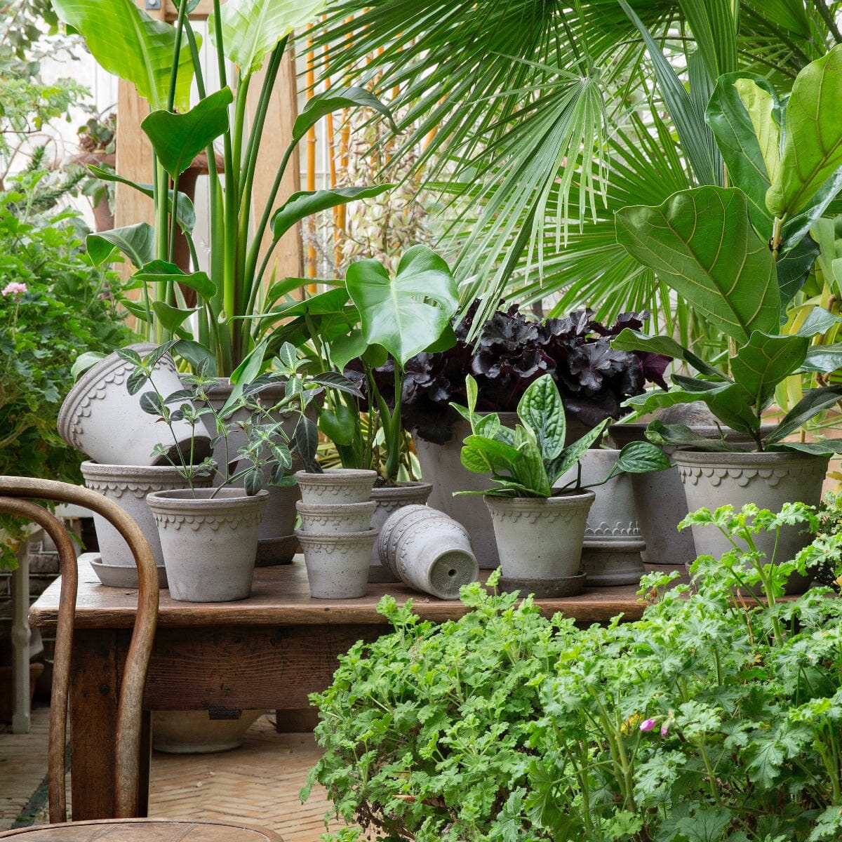 Kobenhavner Grey inc saucer Pots - Berg Berg