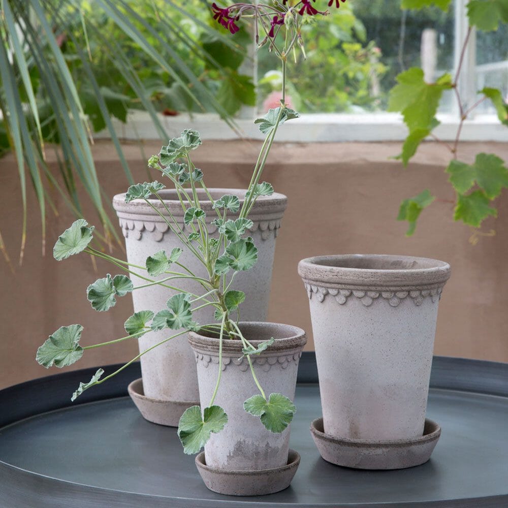 Kobenhavner Tall Grey inc Saucer Pots - Berg Berg