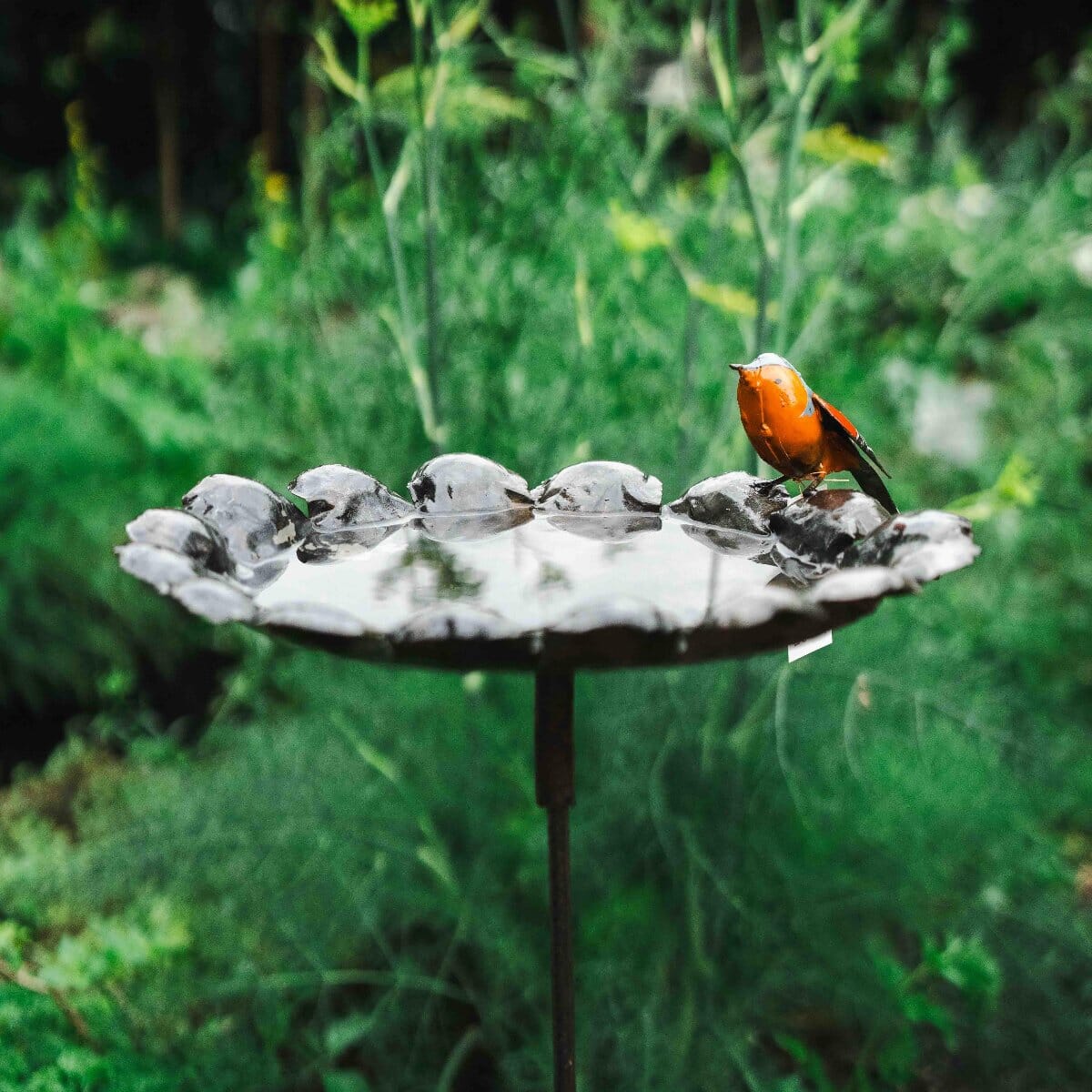 Large Silver Birdfeeder Garden Art Brookfield Gardens