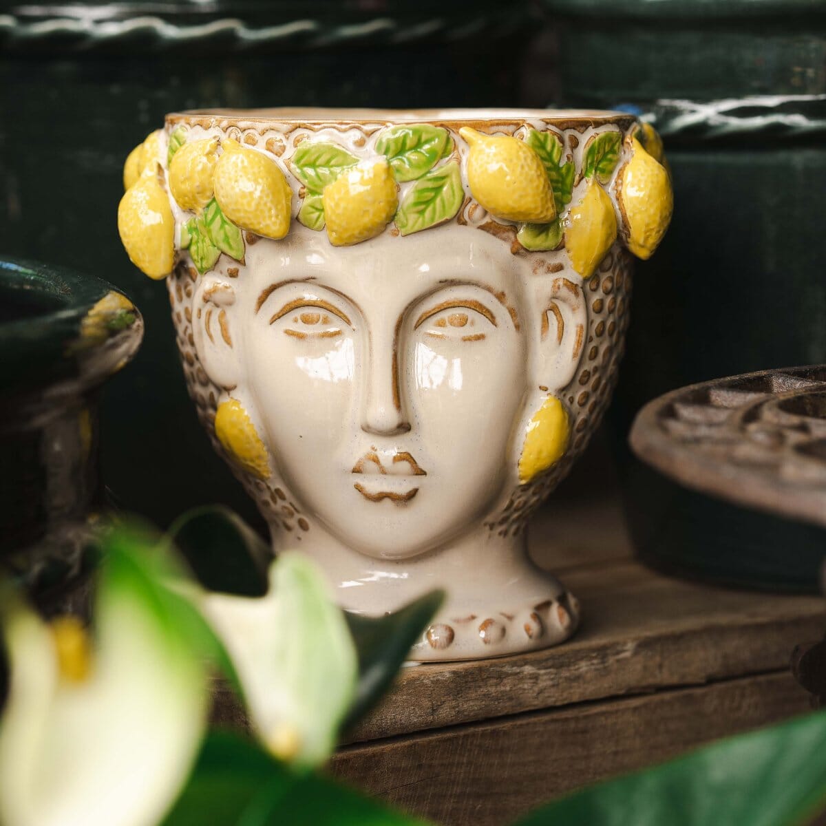 Limone Flowerpot Pots - Decorator Brookfield Gardens