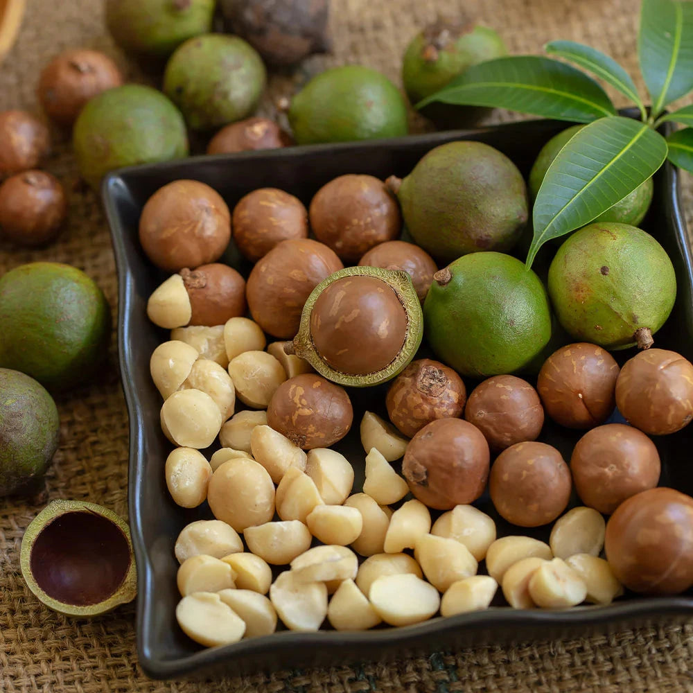 Macadamia Fruit Trees Brookfield Gardens