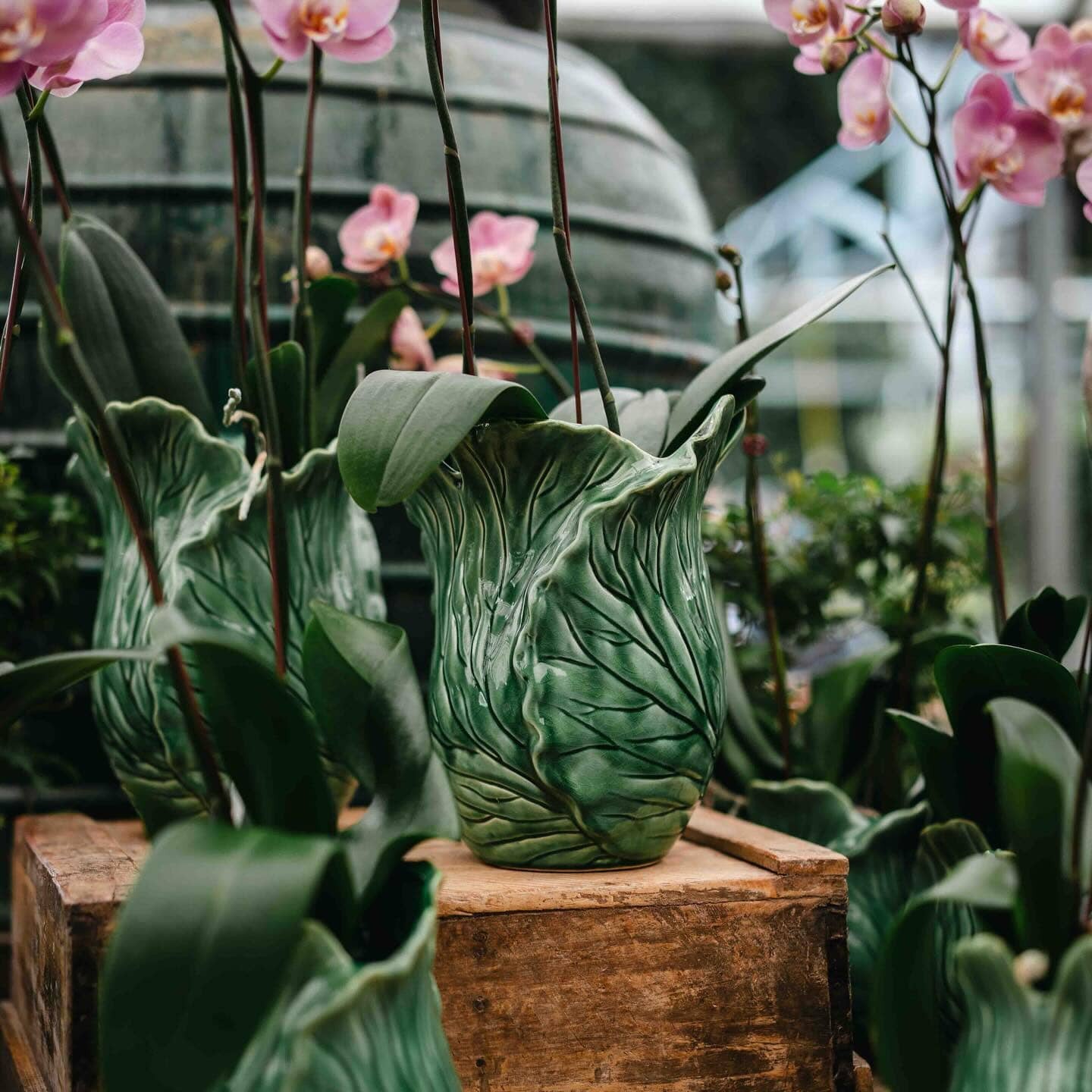 Mode Cabbage Vase Lrg Pots - Decorator Brookfield Gardens