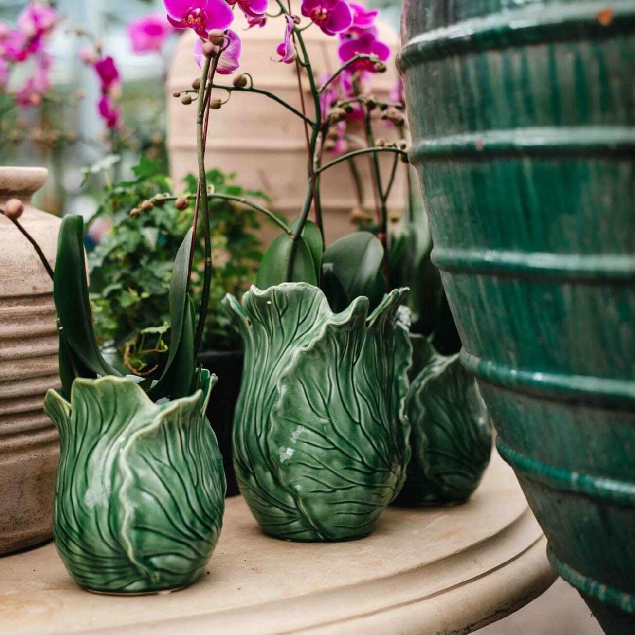 Mode Cabbage Vase Lrg Pots - Decorator Brookfield Gardens