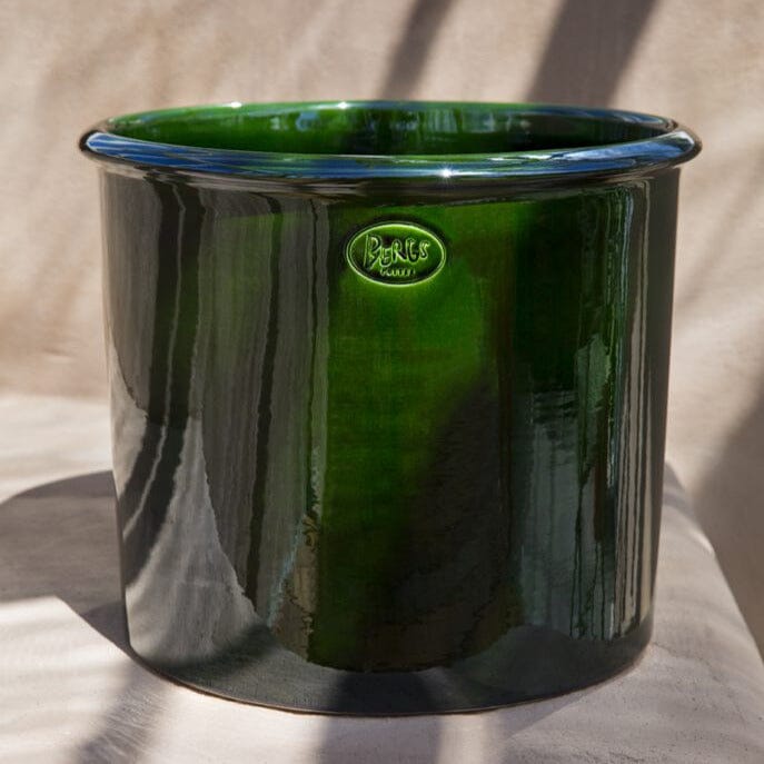 Modena Glazed Pot inc Saucer Pots - Berg Brookfield Gardens
