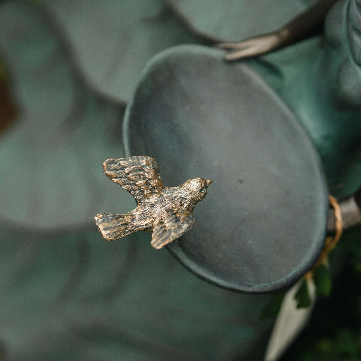 Odette Holding Birdfeeder Bowl Gift - Ornaments Brookfield Gardens