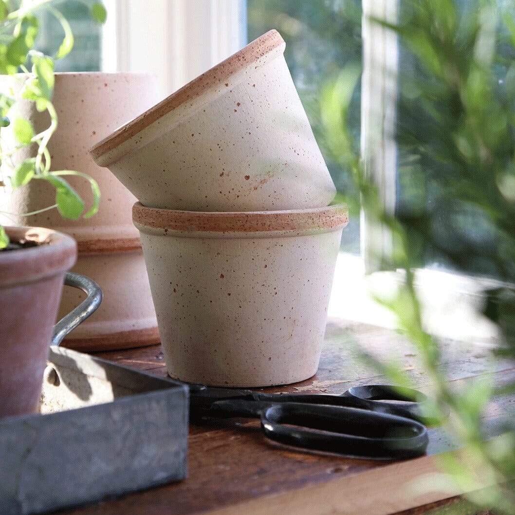 Parade Rose Florist - Vessels Berg