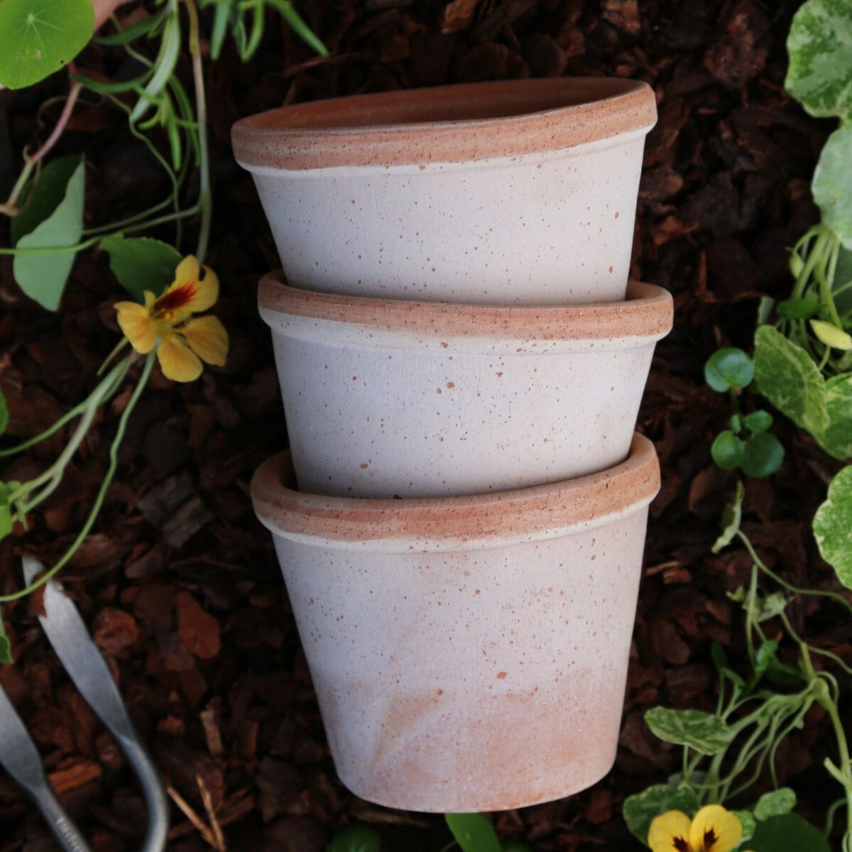 Parade Rose Florist - Vessels Berg