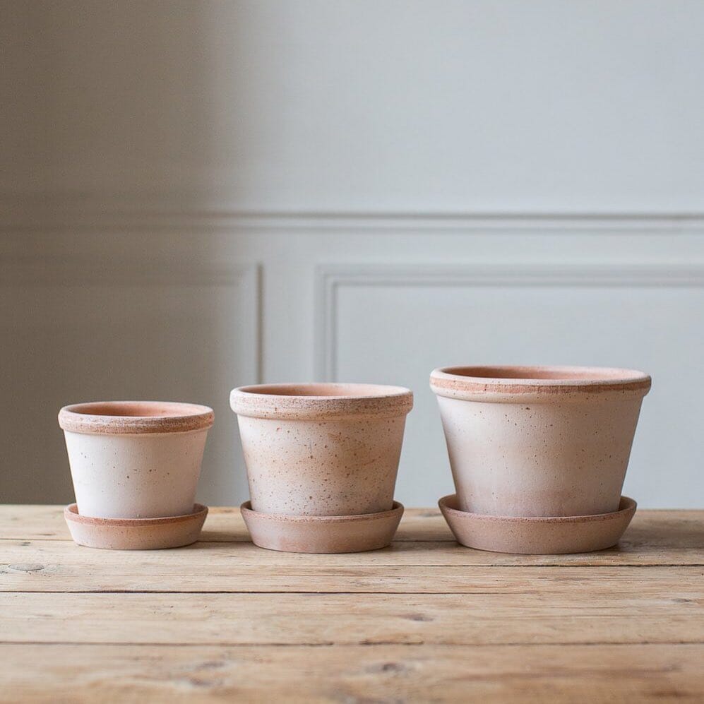 Parade Rose Florist - Vessels Berg