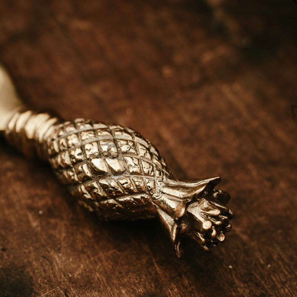 Pineapple Bottle Opener PL Homewares Brookfield Gardens