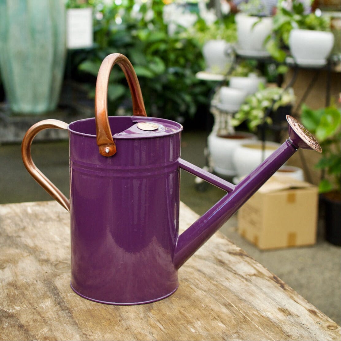 Plum Watering Can 4.5L Hard Ware Brookfield Gardens