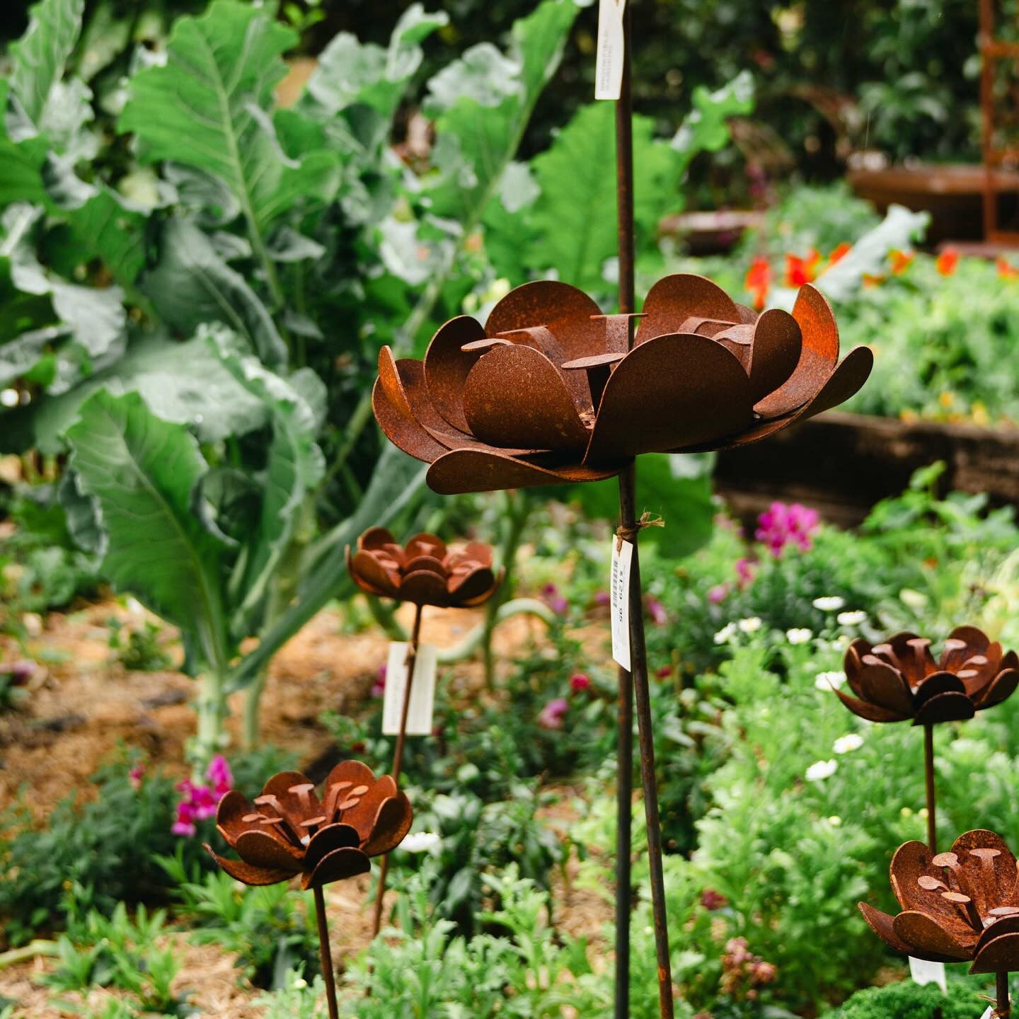 Poppy Sculpture Garden Small