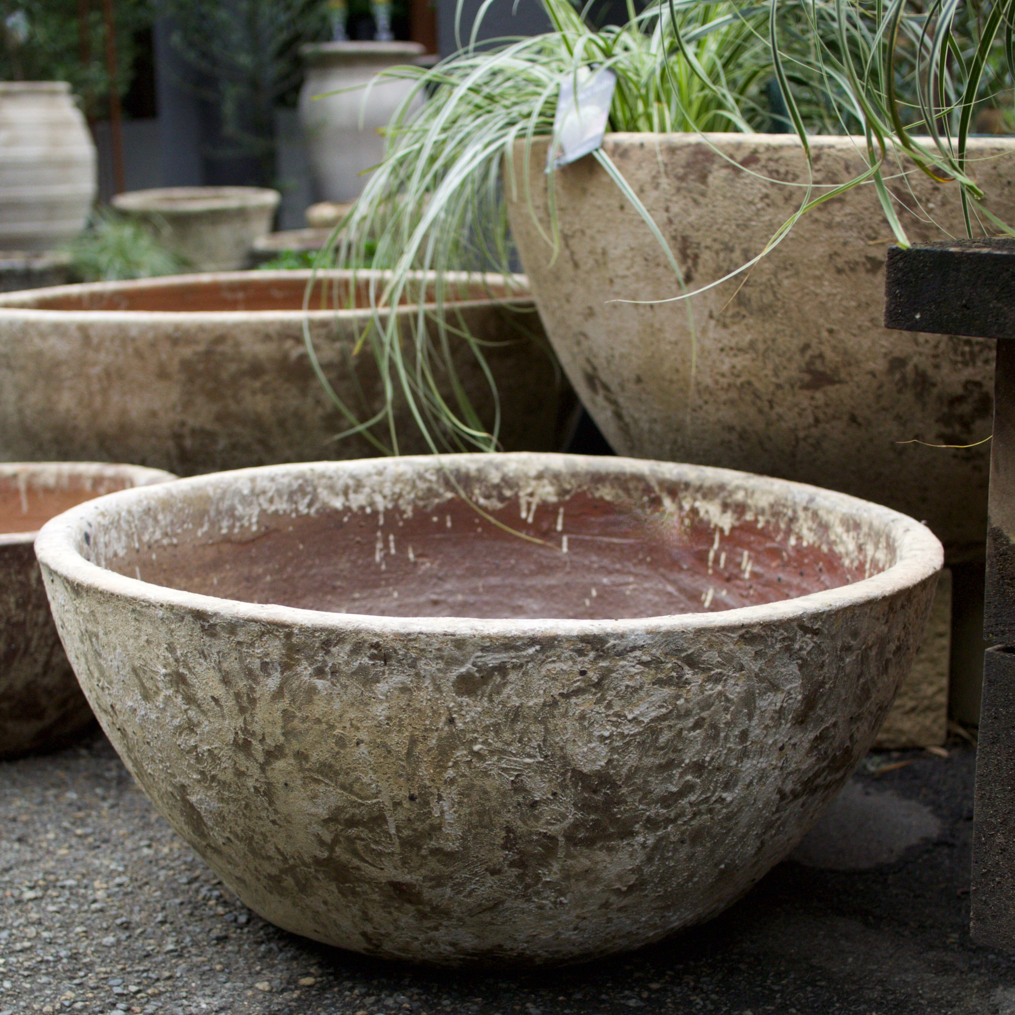 Rustica Bowl Pots - Atlantis Brookfield Gardens