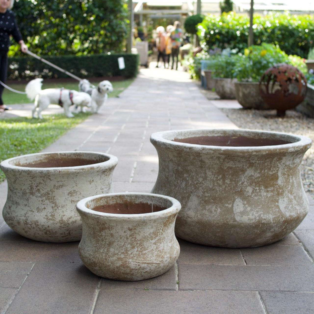 Rustica Low Lotus Pots in multiple sizes with a weathered antique finish, displayed as elegant feature pots at Brookfield Gardens, Brisbane.