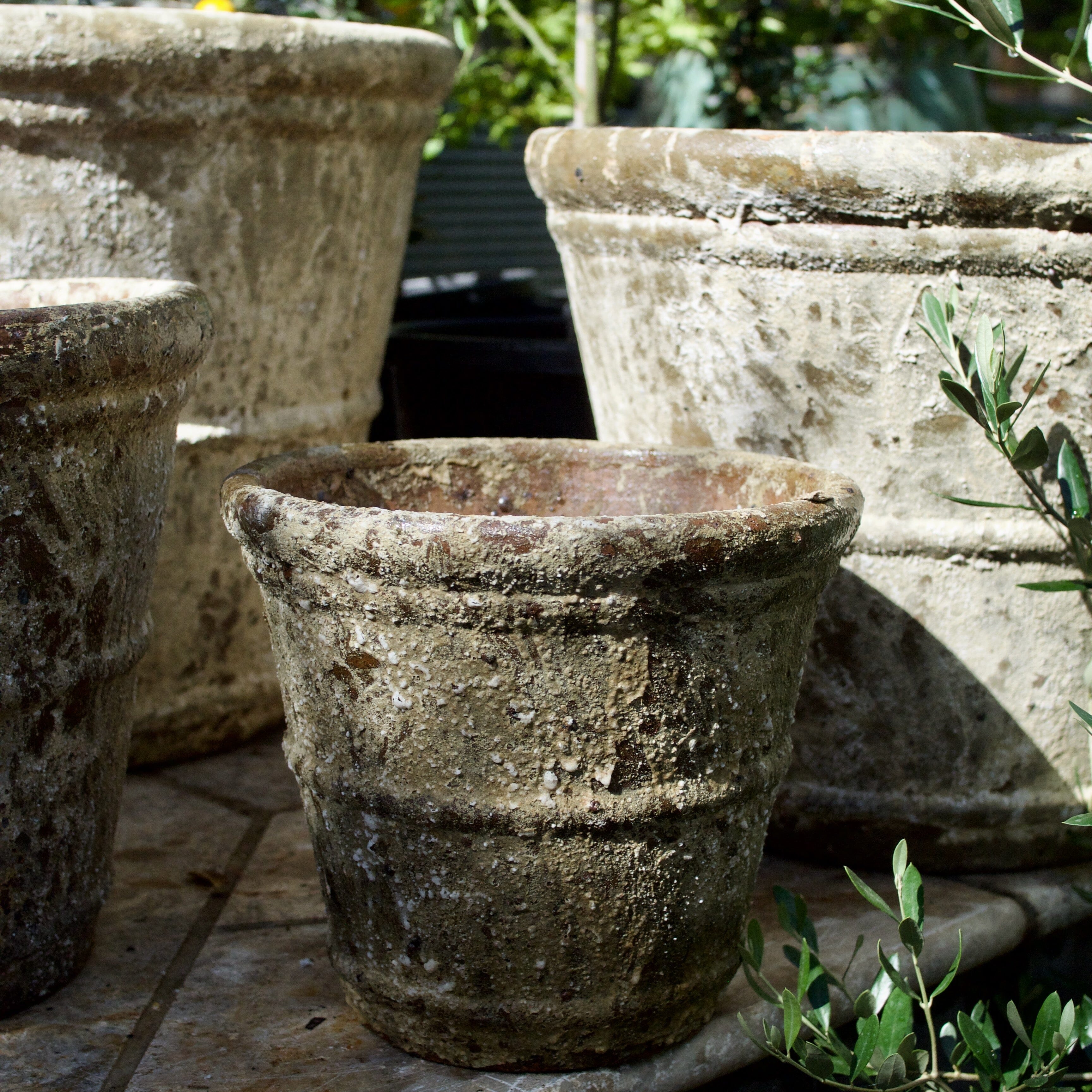 Rustica Roll Rim Pot Pots - Atlantis Brookfield Gardens