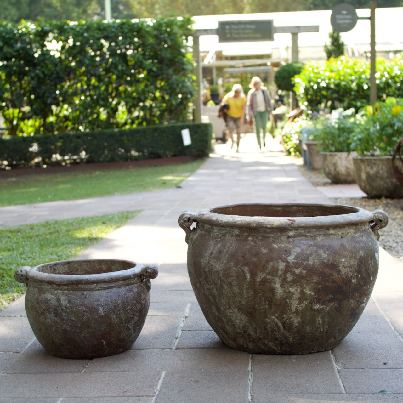 Rustica Rolled Handles Pots in two sizes with a weathered antique finish, displayed as Mediterranean-inspired feature pots at Brookfield Gardens, Brisbane.