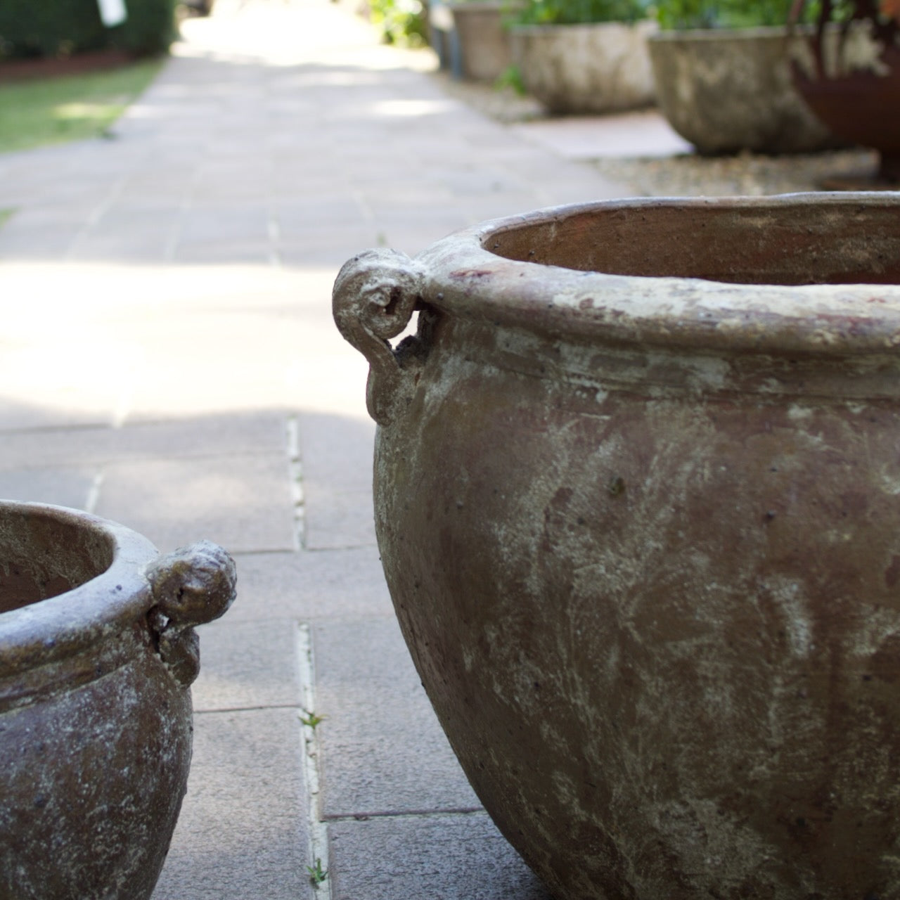 Rustica Rolled Handles Pots in two sizes with a weathered antique finish, displayed as Mediterranean-inspired feature pots at Brookfield Gardens, Brisbane.