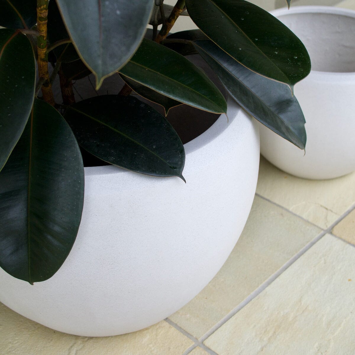 Sante Ball Planter Pots - Light Weight Brookfield Gardens