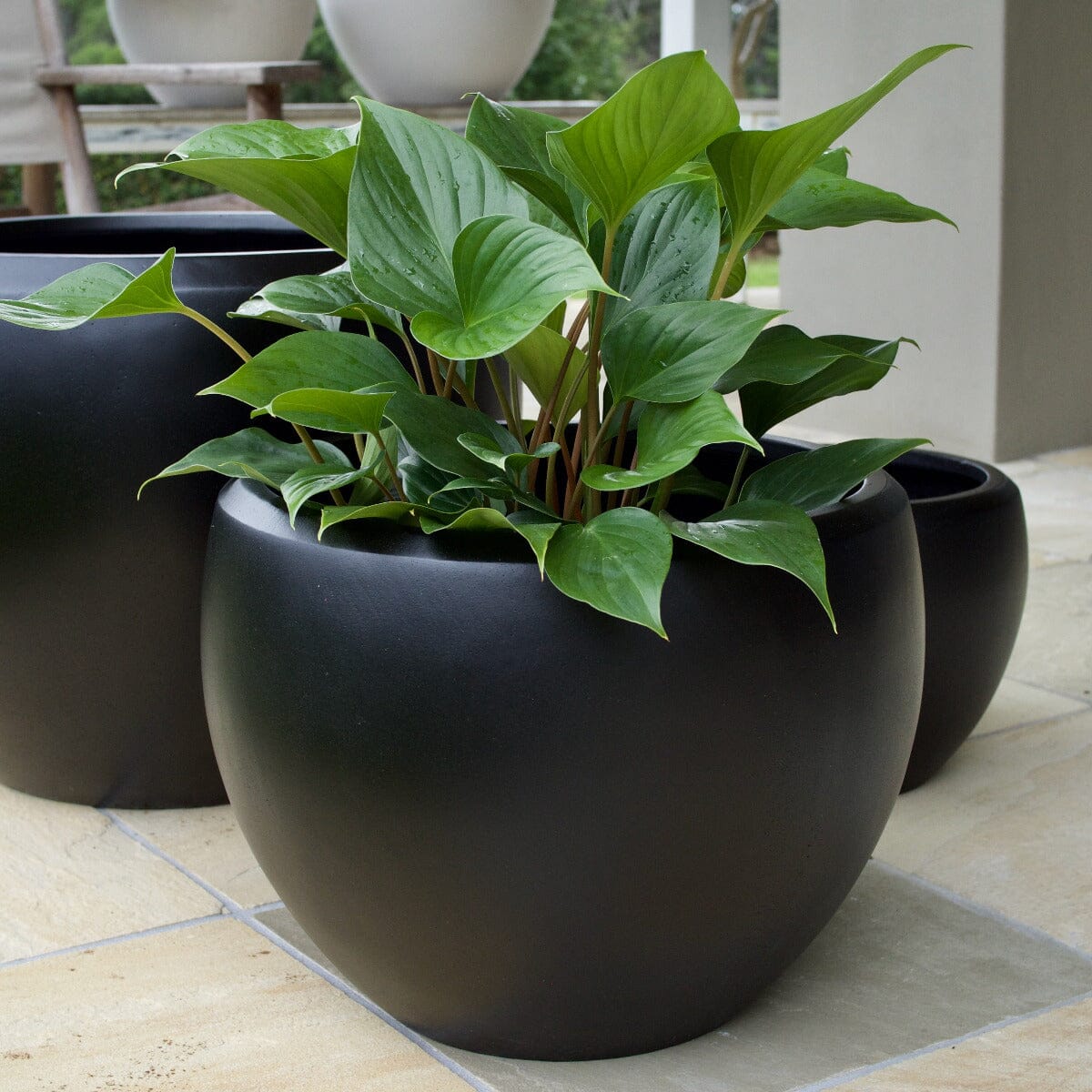 Sante Ball Planter Pots - Light Weight Brookfield Gardens