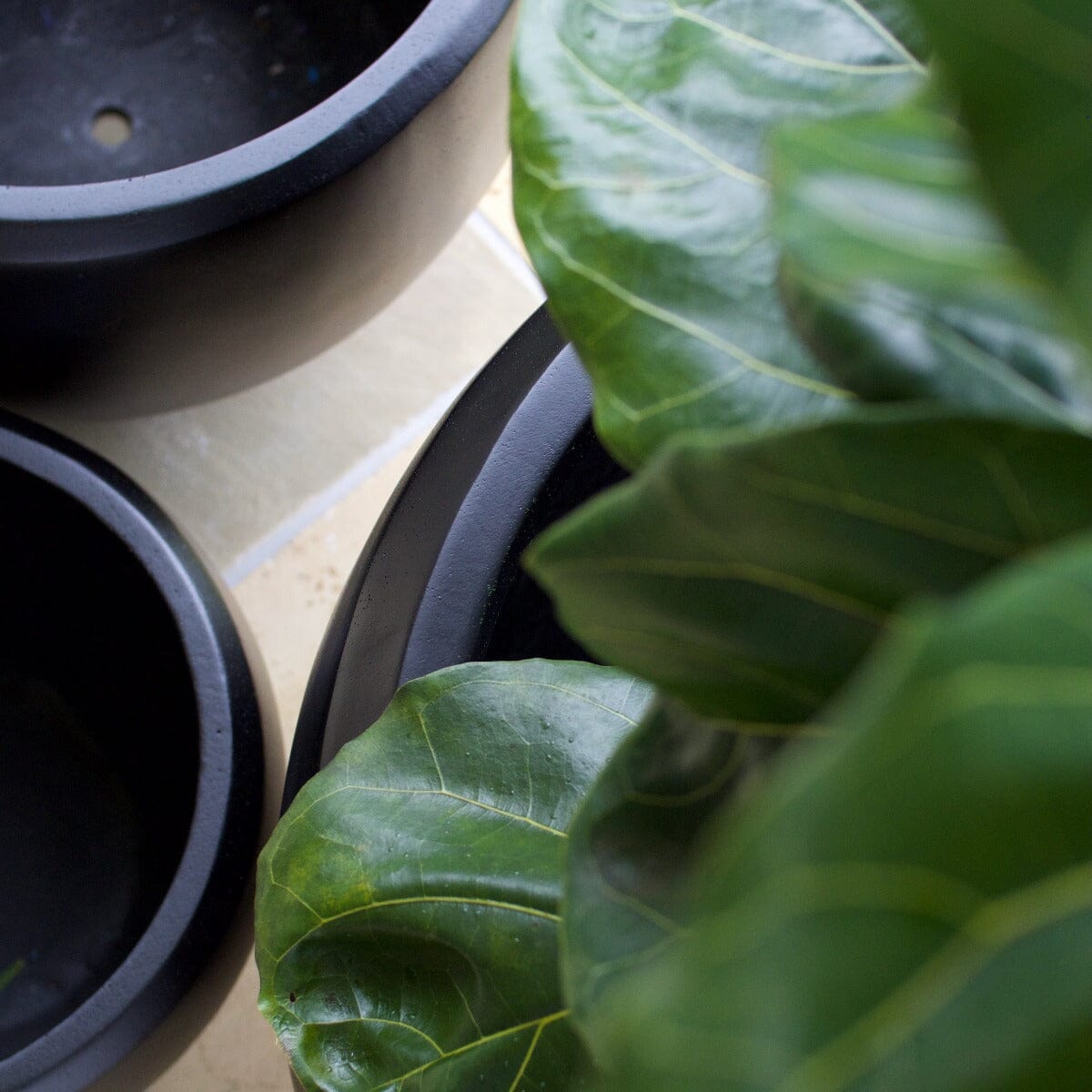 Sante Ball Planter Pots - Light Weight Brookfield Gardens