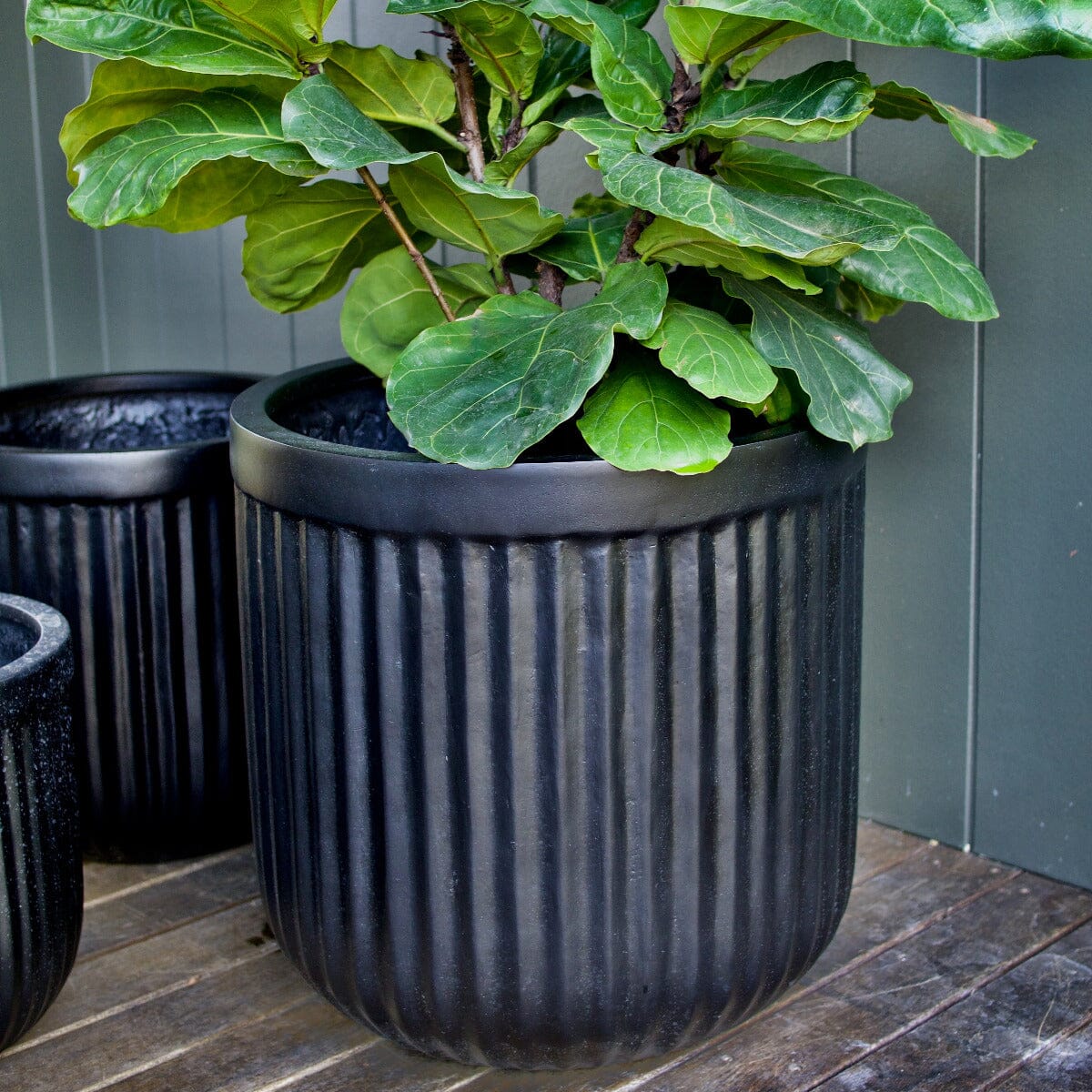 Sante Barrel Pot Black Pots - Light Weight Brookfield Gardens