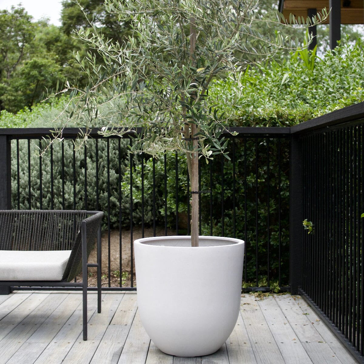 Sante Egg Pots - Light Weight Brookfield Gardens