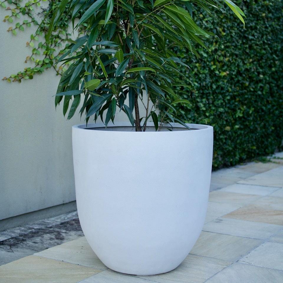 Sante Egg Pots - Light Weight Brookfield Gardens