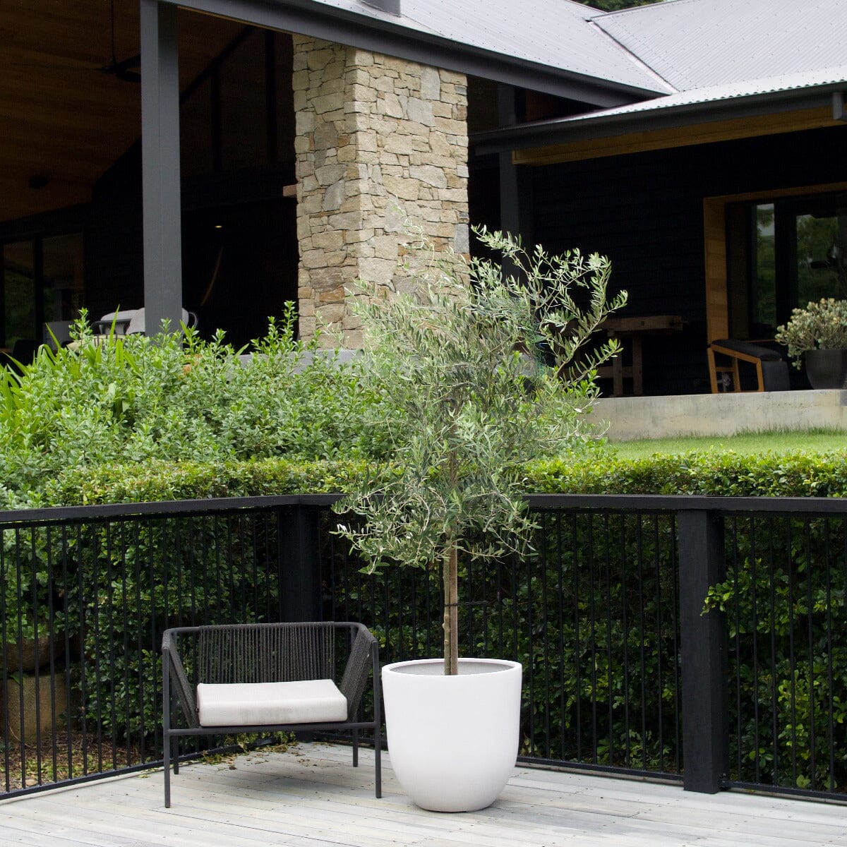 Sante Egg Pots - Light Weight Brookfield Gardens