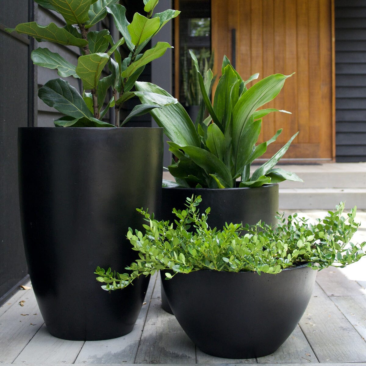 Sante Squat Egg Planter Pots - Light Weight Brookfield Gardens
