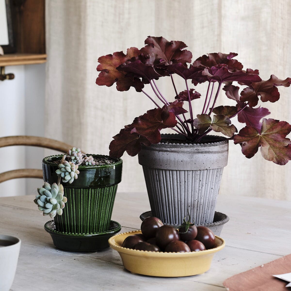 Simona Grey inc Saucer Pots - Berg Berg