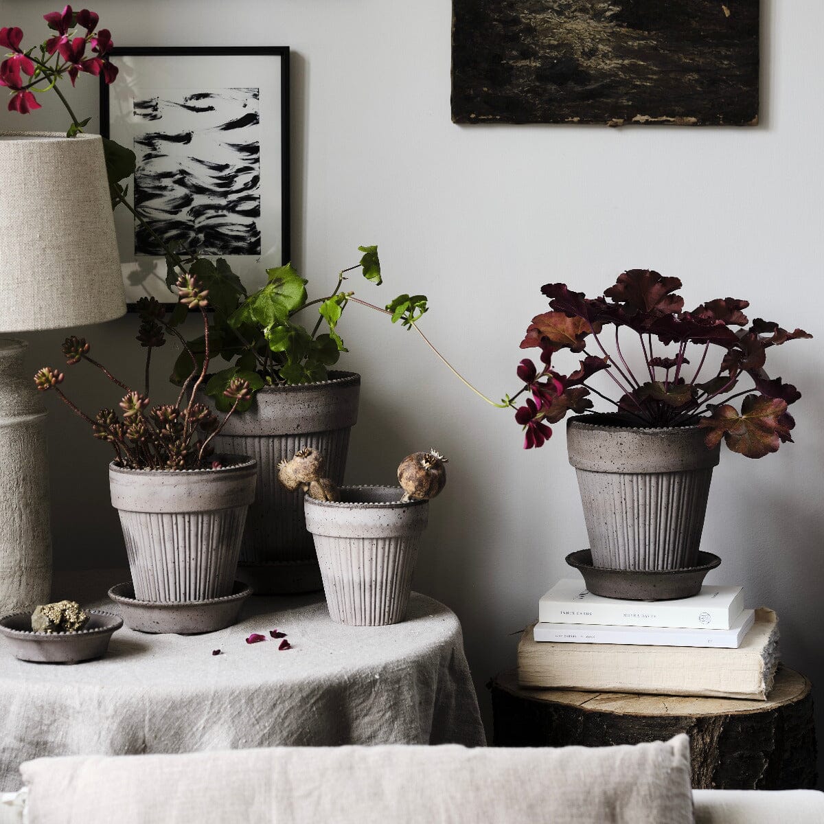 Simona Grey inc Saucer Pots - Berg Berg