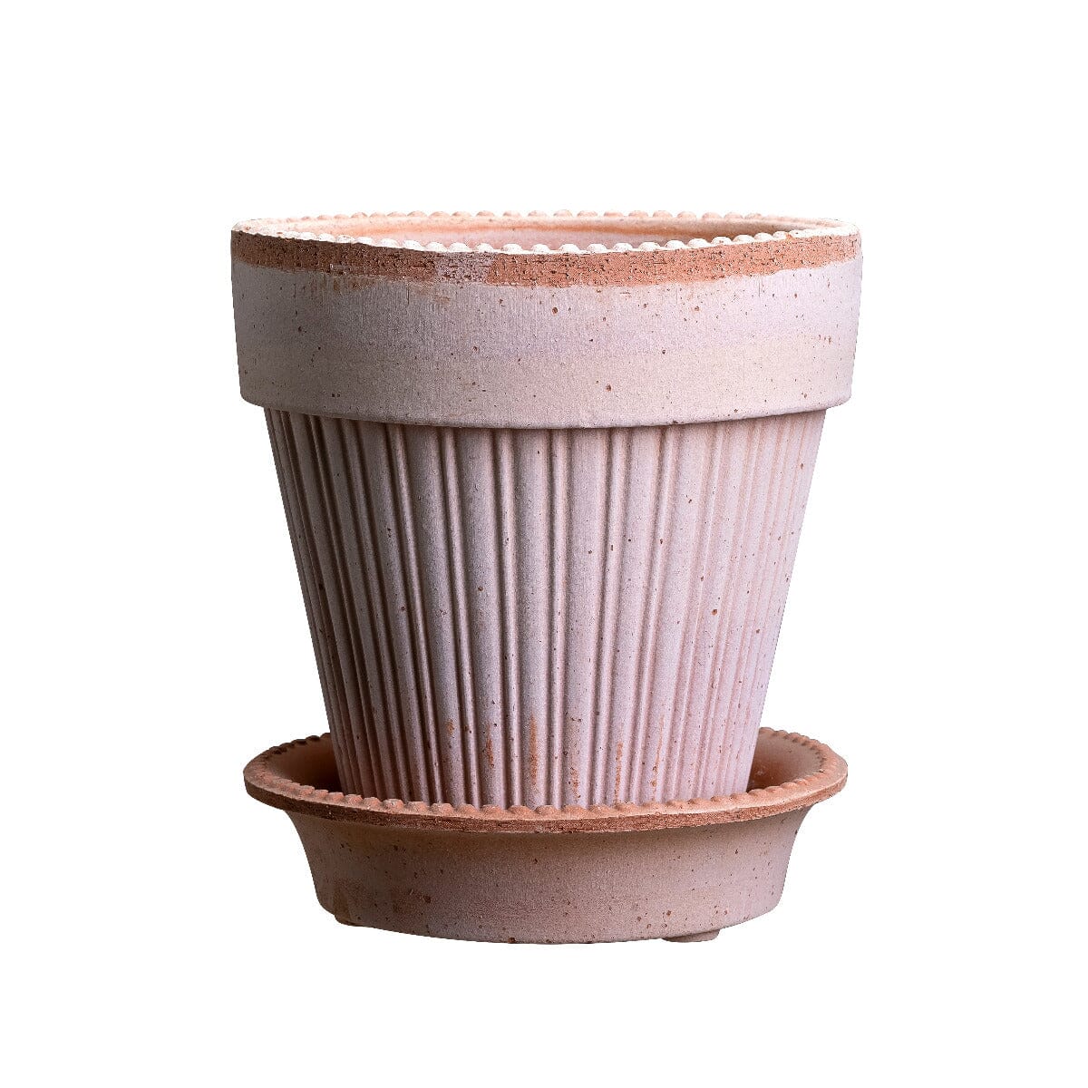 Simona Rosa inc Saucer Pots - Berg Berg