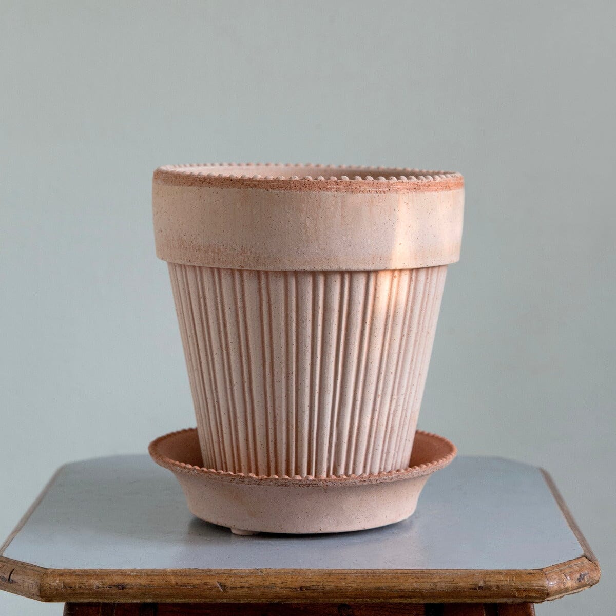Simona Rosa inc Saucer Pots - Berg Berg