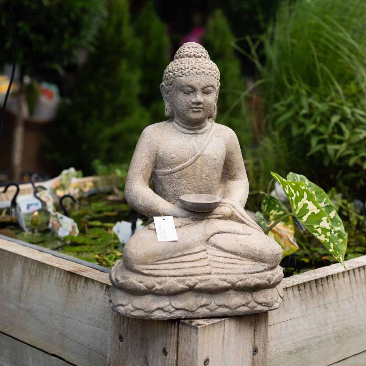 Sitting Buddha with Plate Fountain Statues / Water features / Bird Bath Brookfield Gardens