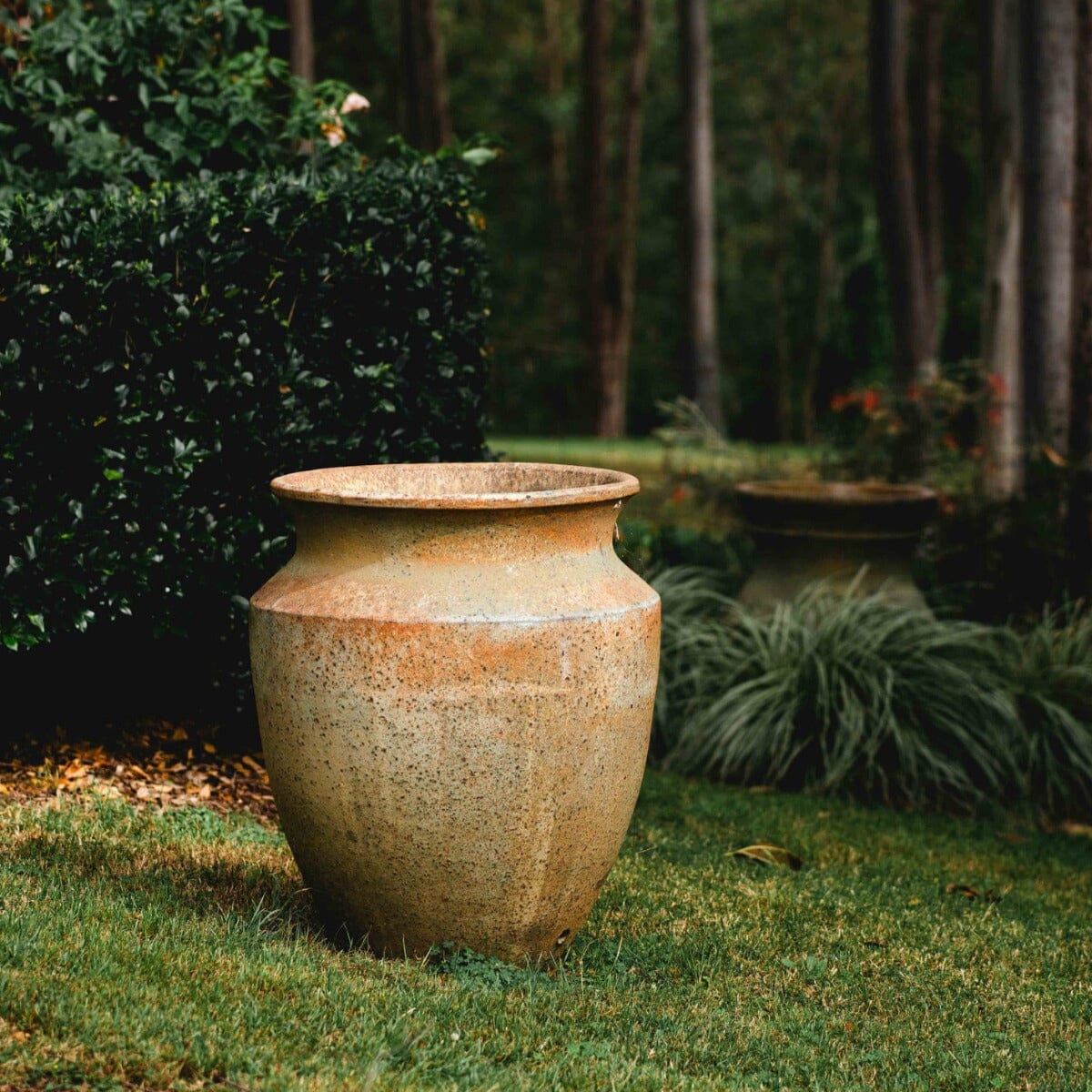 Skorpio Sm Pots - Frost Proof Brookfield Gardens