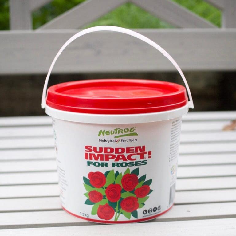 Sudden Impact for Roses 1.5Kg Plant care Brookfield Gardens