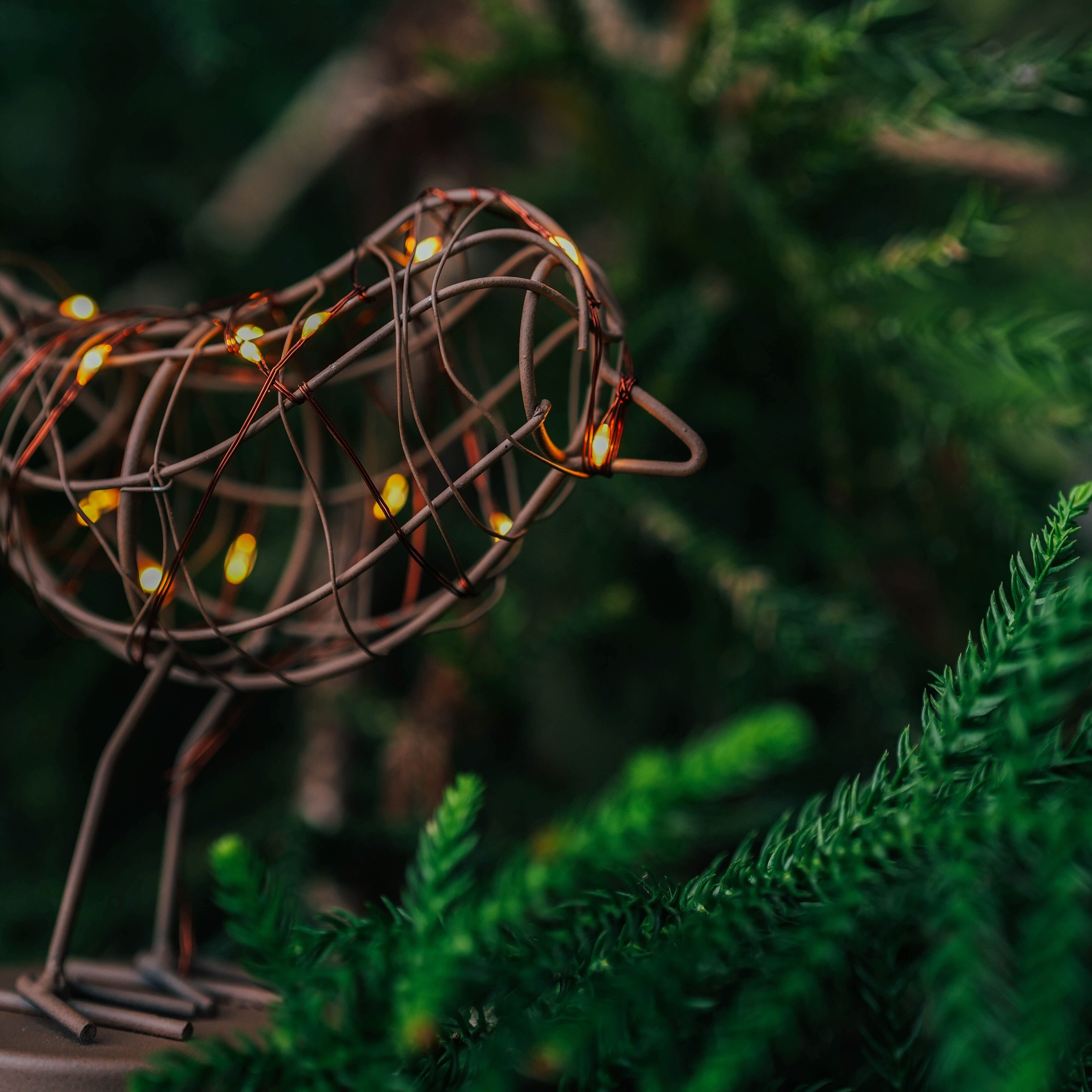 Table Robin Light LED Gift - Ornaments Brookfield Gardens