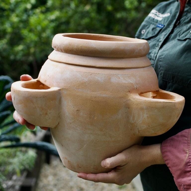 Terracotta Herb Pot Pots - Terracotta Brookfield Gardens